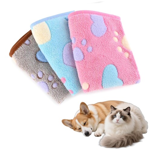 Pack pet blanket - pack,